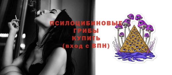apvp Вязники