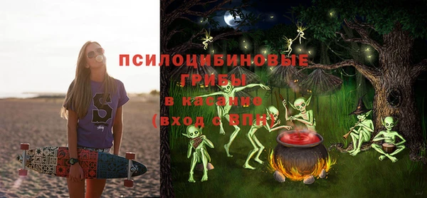apvp Вязники