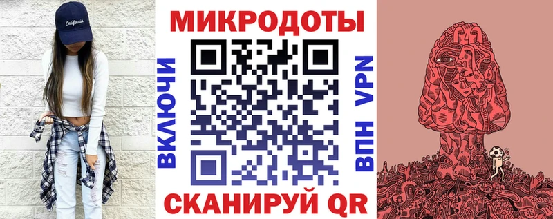 Купить закладки  Порхов  Псилоцибиновые грибы Psilocybe 