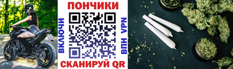Купить закладки  Порхов  Шишки марихуана тримм 